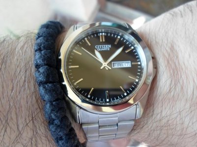 SAM_4393 (2) (1024x768).jpg