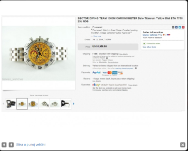 2015-08-13 13_10_37-SECTOR Diving Team TITANIUM!!! (38588503) - Limundo.com.png