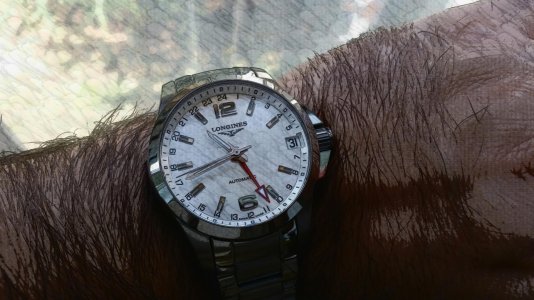 u2015-08-31 10.43.51.jpg