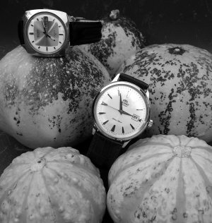 20150905_154537 ...,.jpg