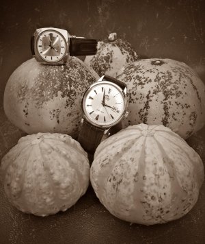 20150905_154614 ...,.jpg