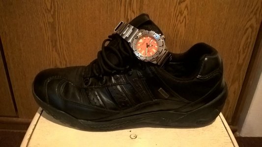 seiko5.jpg seiko5.jpg