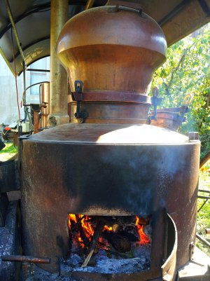 20151004_104857 ....jpg