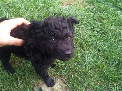 20151004_160341 ....jpg