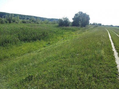 20150529_164056 ....jpg