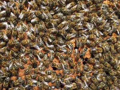 20150710_155314 ....jpg