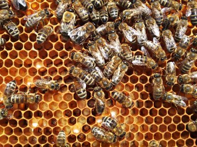 20150710_155624 ....jpg