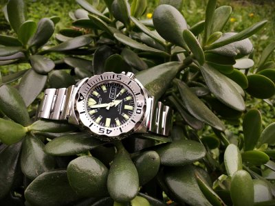 20151013_144654 ....jpg