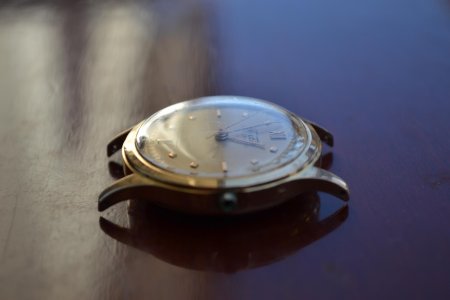 DSC_9503.jpg DSC_9503.jpg