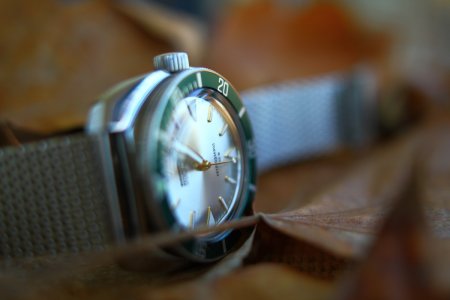 IMG_1390.JPG IMG_1390.JPG