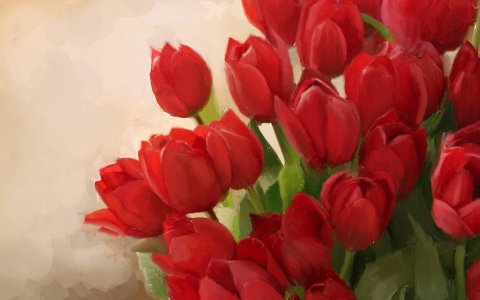 art-tulips-red-flowers-wallpaper-1680x1050.jpg