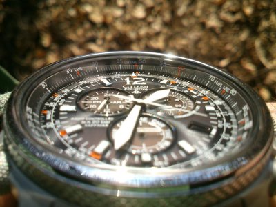 DSC_2914.jpg DSC_2914.jpg