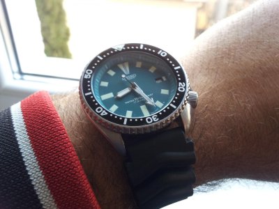 Seiko Scuba diver.jpg