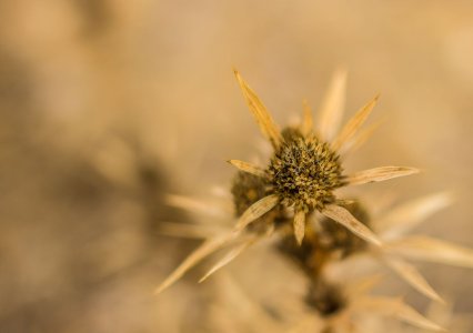 untitled (1 of 1)-2.jpg