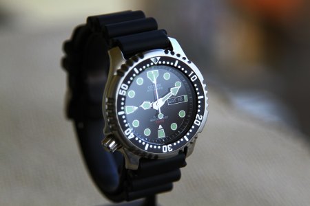 IMG_1532.JPG IMG_1532.JPG