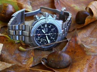 IMG_1367.jpg IMG_1367.jpg