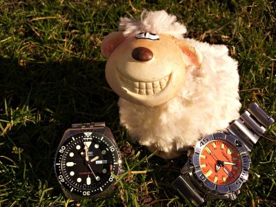 20160206_135713 ....jpg