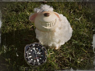 20160206_135819 ....jpg