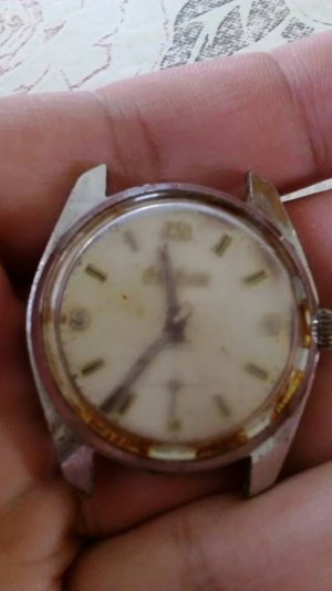 uploadfromtaptalk1456307350087.jpg uploadfromtaptalk1456307350087.jpg