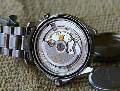 IMG_1595.jpg IMG_1595.jpg