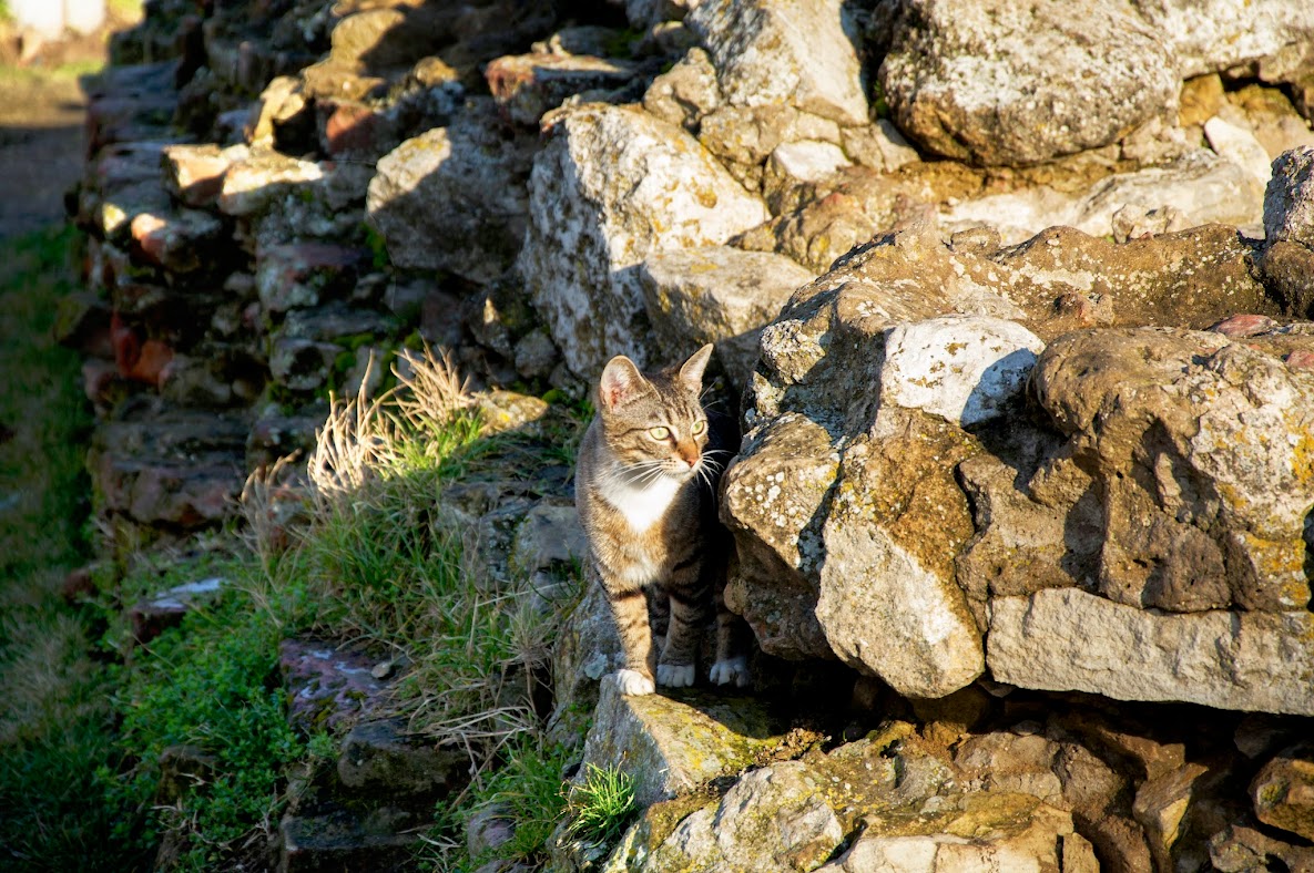 vdPb-xBk8zzZHNuJXNz8qlkz9qQKeaaC2Y7z4cDPEA=w1185-h788