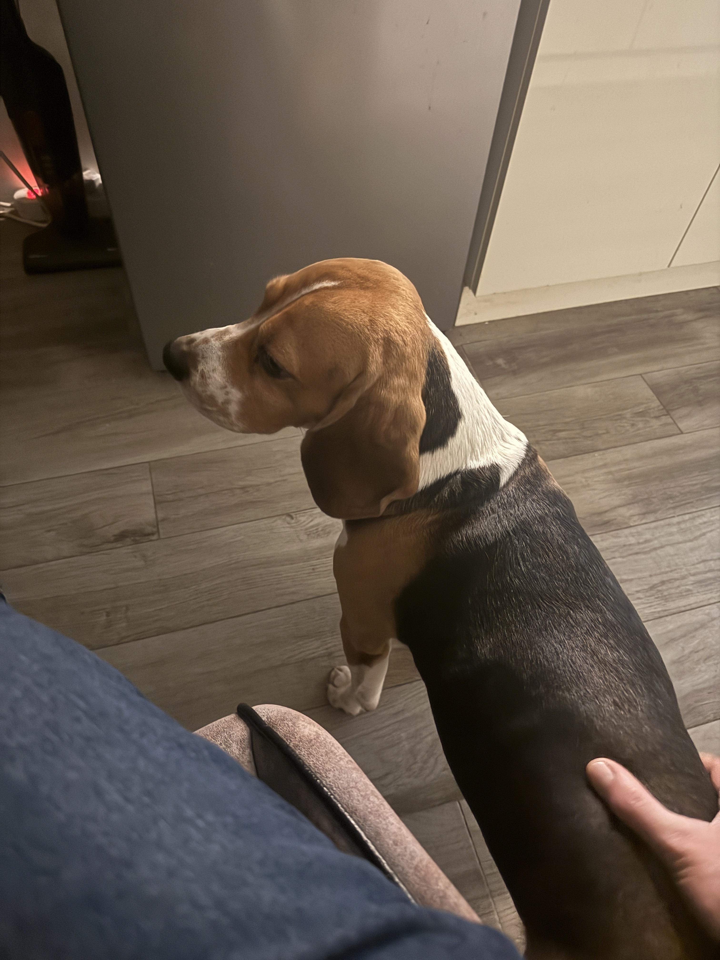 f1bcd1af3fc0ae298c76e7eaad60abea.dng