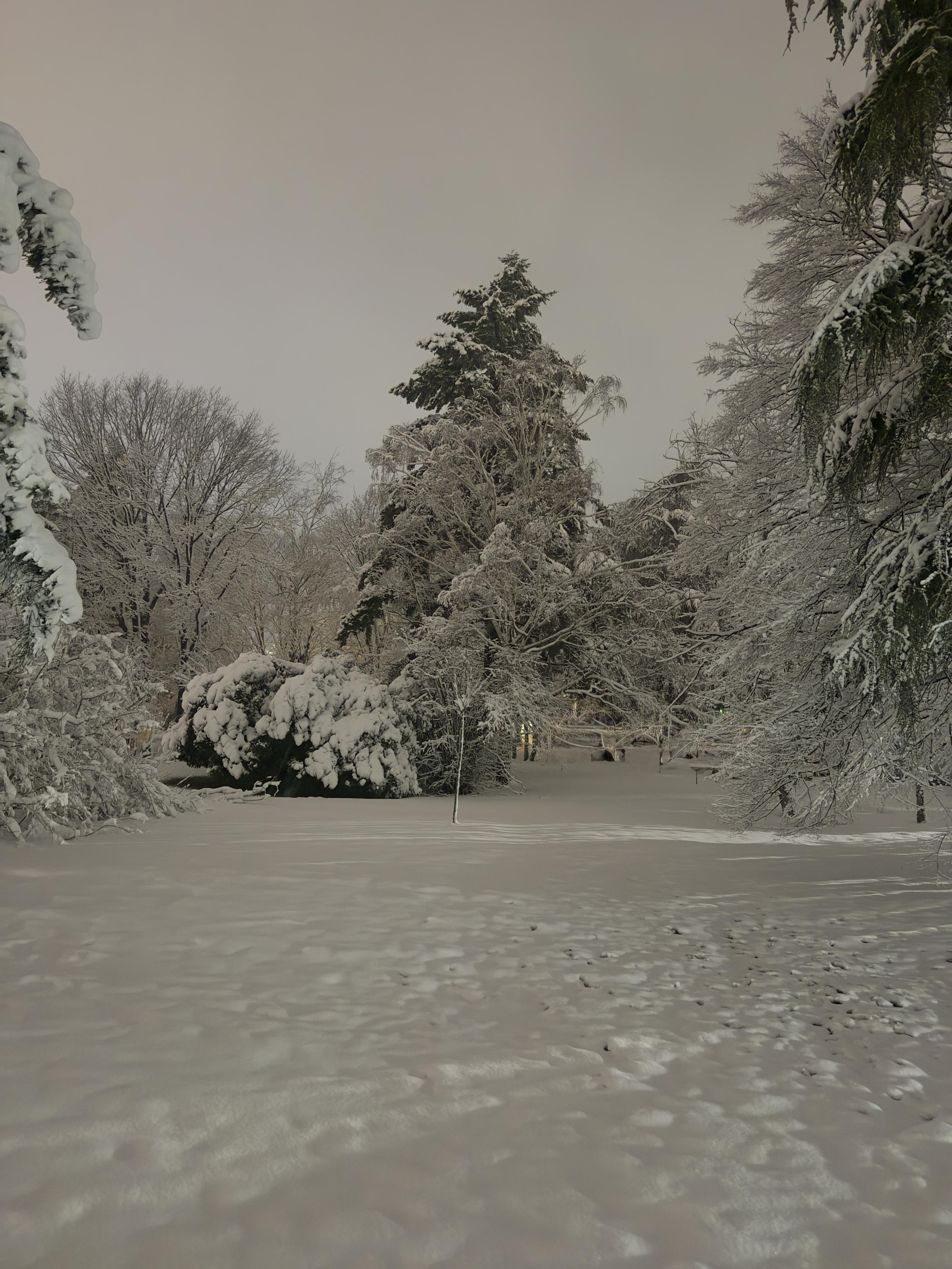 481745b9068c3b7a206aa516382da333.dng