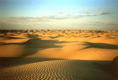 sahara.jpg