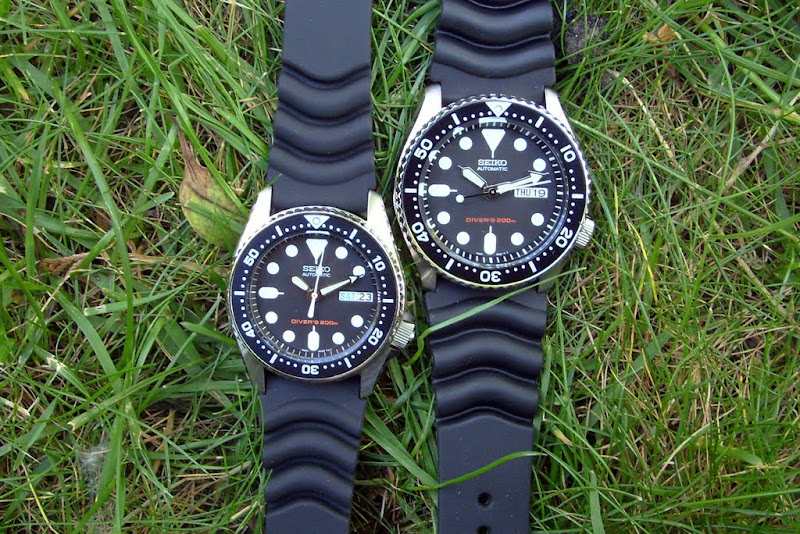 SKX013.JPG