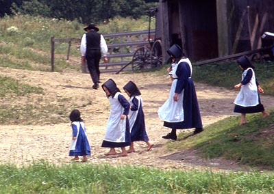 amish131.jpg