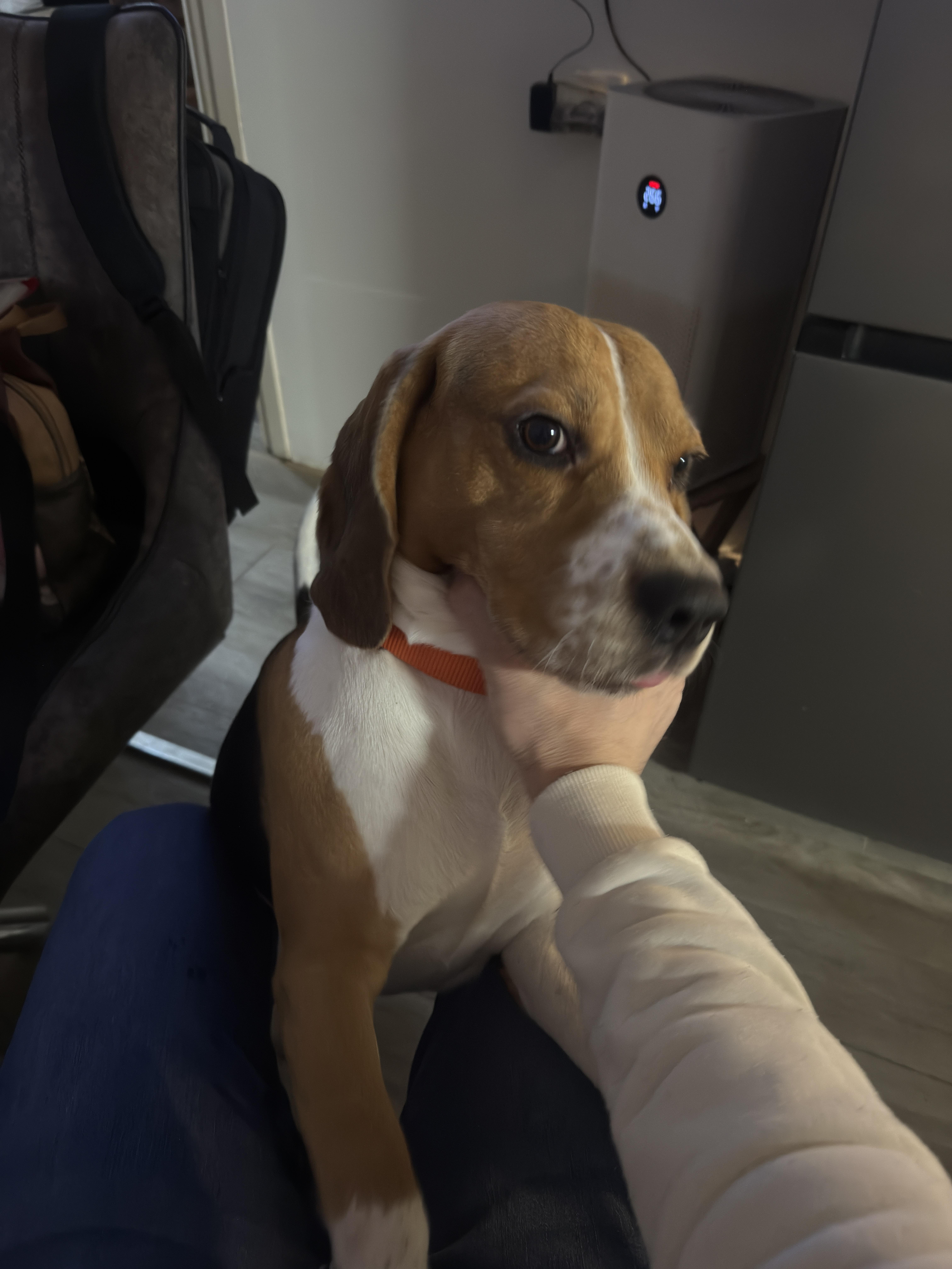 da8d6087f1c5bf58d5967defb4aed87f.dng