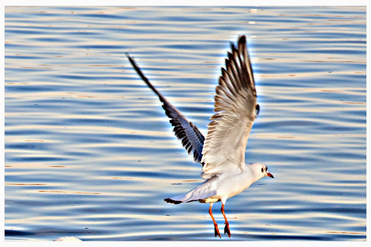 1mpVjIIrXaiqqw3LfrkdkgzfbmDjUZQVgo8D3P3pT1o=w1182-h788-no